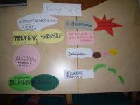 Mindmap Lernwerkstatt
